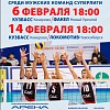 Чемпионат России 2016 по волейболу. Суперлига
